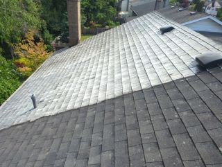 Roof moss handling