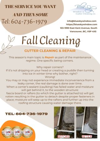 Fall cleaning