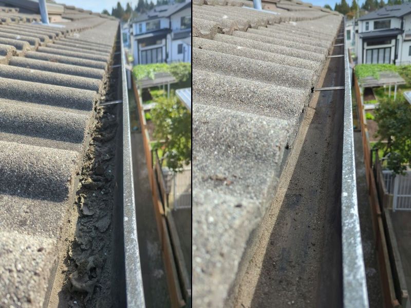 gutter cleaned